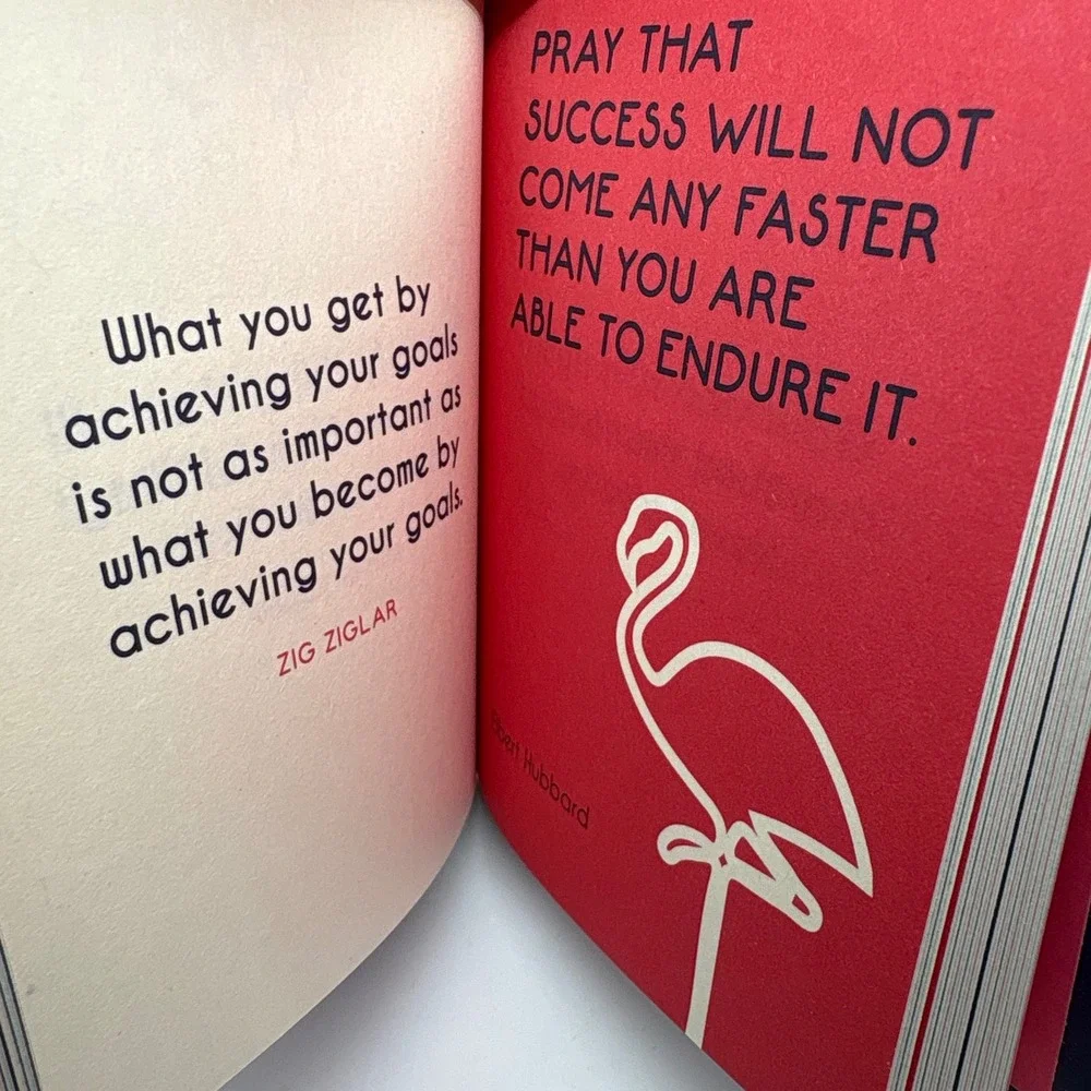 Never Stop Dreaming Inspirational Quotes Book Flamingo‎ Design Dream Graduation
